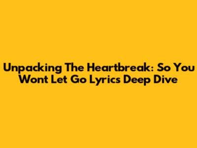 Unpacking The Heartbreak: 'So You Won't Let Go' Lyrics Deep Dive